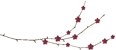 n-12.gif