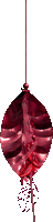 n-15.gif